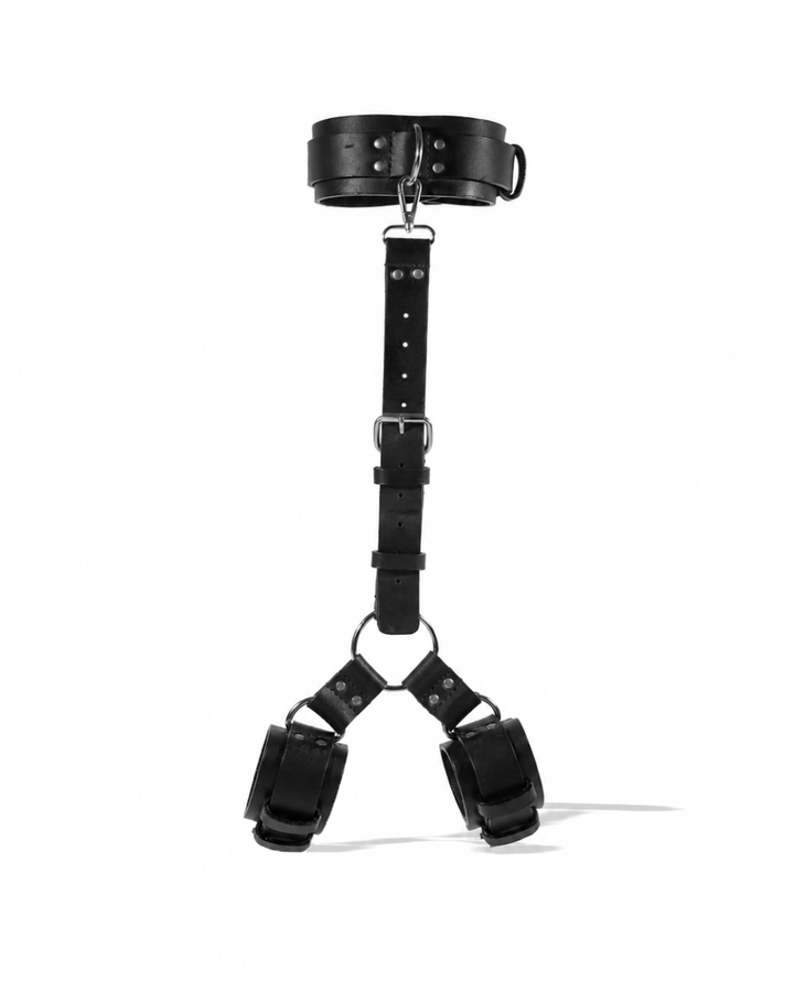 Black leather backline restraint set arranged vertically on white background showing padded collar at top, adjustable centre-back strap with mid-point buckle, O-ring, and two padded wrist cuffs at bottom via Y-connector