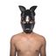 Subculture Pup Mask - Subculture