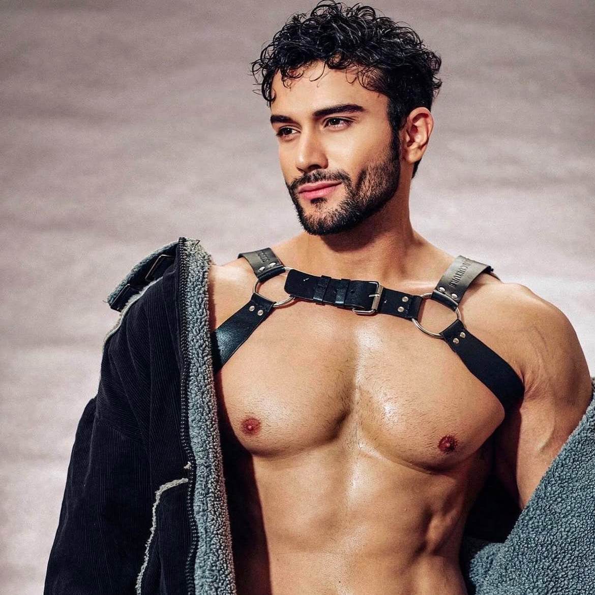 Men's Classic Chest Harness, genuine leather chest harness by Subculture