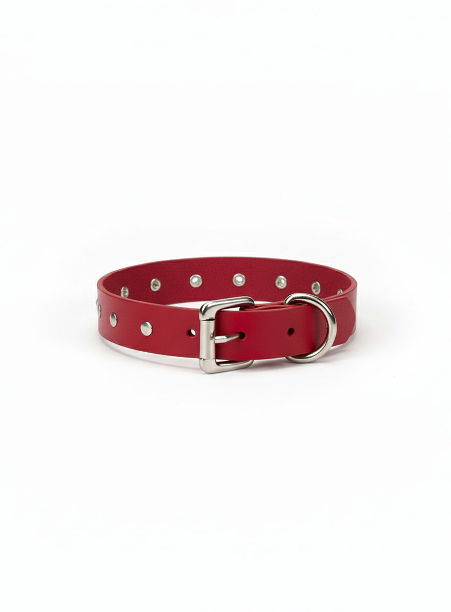 Red dog collar with silver buckle on a white background